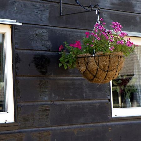 De Schaapskooi - Knus Veluws Vakantiehuisje Ede Dış mekan fotoğraf